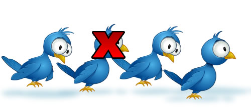 follow follow