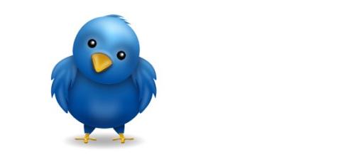 twitterbird twitterbird